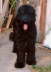 Briard Zucht L�beck, Schleswig-Holstein
