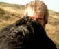 Briard Zucht L�beck, Schleswig-Holstein